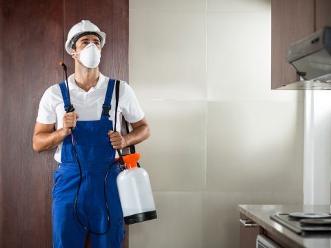 Depositphotos_106118914_original