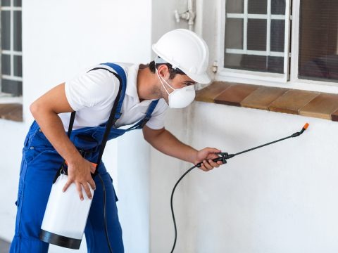 Depositphotos_106132812_original