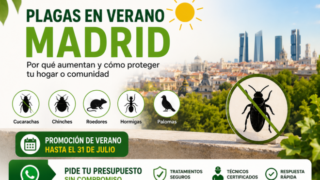 Plagas en verano en Madrid: prevención y control de cucarachas, chinches, roedores, hormigas y palomas con ENPA Desinfección.